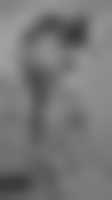 La photo du membre