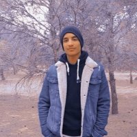 صورة العضو