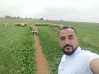 La photo du membre