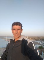 صورة العضو