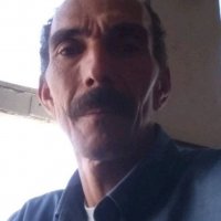 صورة العضو